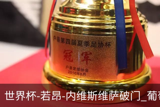 世界杯-若昂-内维斯维萨破门 葡萄牙半场暂1-1民主刚果