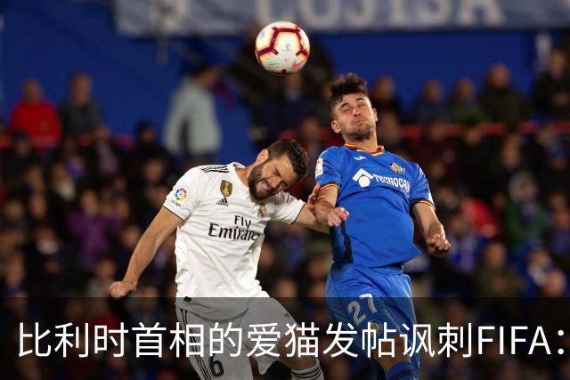 比利时首相的爱猫发帖讽刺FIFA：“红牌？”我照样继续踢！